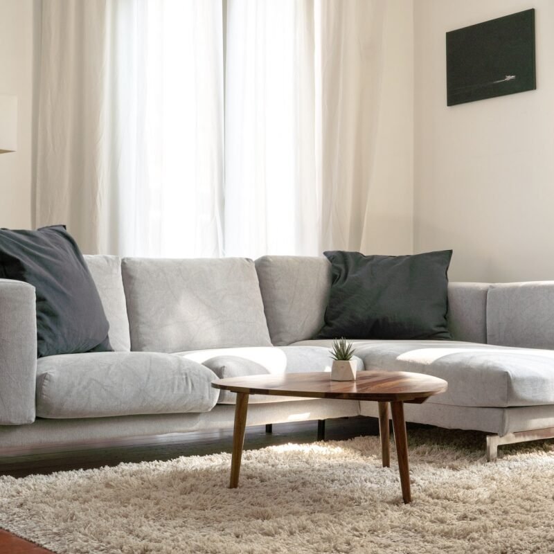 Family comfortable sofa